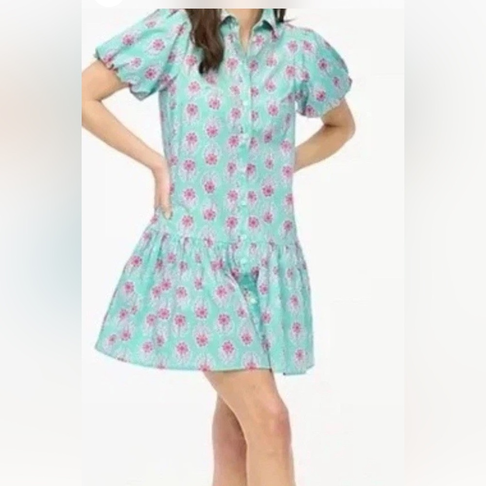 J. Crew womens Dress in mint green and Pink Floral